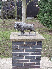 buffalo statue