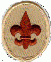 Boy Scout Rank Requirements