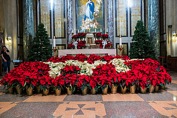 Red and white poinsettias laid out in front of the altar at Our Lady of Angels Church in Bay Ridge, Brooklyn, by Troop 23 Brooklyn Scouts and families for Christmas 2025