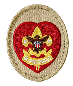 Life Scout Rank Emblem