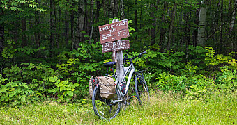 20260812-adventure-trek-2026-tote-road-to-trout-brook_S3A4465 20260812-adventure-trek-2026-tote-road-to-trout-brook_S3A4465