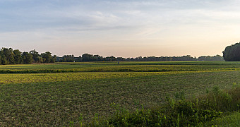20250816-_S3A1181