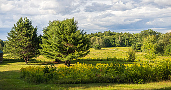 20260812-adventure-trek-2026-tote-road-to-trout-brook_S3A4494