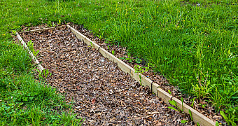 A mulched bed framed in lumber beside a path in Shore Road Park near 79th Street, Bay Ridge, on Scouts Trash the Trash Day, May 2, 2026