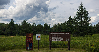 20260812-adventure-trek-2026-tote-road-to-trout-brook_S3A4451 20260812-adventure-trek-2026-tote-road-to-trout-brook_S3A4451