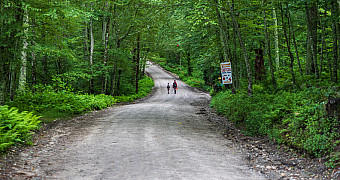 A gravel camp road through the forest at Camp Yawgoog, Rockville, Rhode Island, July 2025