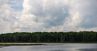 20260709-_S3A1711