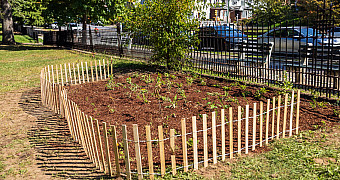 A newly planted flower bed behind a wooden picket fence in Shore Road Park, Bay Ridge, Brooklyn, from Ty's Eagle Scout project, September 28, 2025
