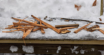 Thin sticks of split kindling laid out on a snowy bench, winter campout at Massawepie Scout Camps