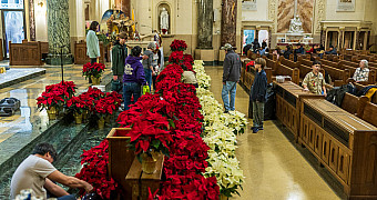 Poinsettias Along the Altar Rail — Our Lady of Angels Troop 23 Brooklyn Scouts and families setting out rows of red and white poinsettias along the altar rail at Our Lady of Angels Church, Bay Ridge, December 2025