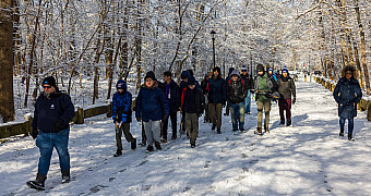 Heading Out on a Snowy Path Scouts and leaders carrying loppers walk down a snow-covered path between bare trees in Conference House Park, Staten Island, January 2026