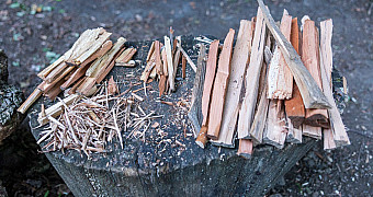 Wood shavings for tinder, thin split kindling and larger split fuel wood sorted by size on a chopping block, Camp Seton