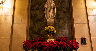 Red poinsettias at the statue of Mary inside Our Lady of Angels Church, Bay Ridge, decorated for Christmas by Troop 23 Brooklyn, December 2024