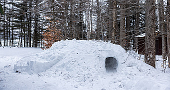 Quinzee Snow Shelter — Massawepie A quinzee snow shelter in the woods at Massawepie Scout Camps, Adirondacks, built during Troop 23 Brooklyn's winter weekend, January 2026