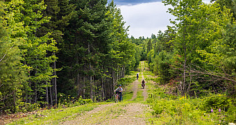 20260813-adventure-trek-2026-trout-brook-to-lunksoos_S3A4892 20260813-adventure-trek-2026-trout-brook-to-lunksoos_S3A4892