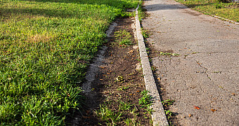 Overgrown Path Edge in Shore Road Park Grass grown over the edge of a path in Shore Road Park near 79th Street, Bay Ridge, before Ty's Eagle Scout project began, September 27, 2025