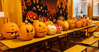 Jack-o'-lanterns lined up on the tables of the Camp Keowa dining hall for the pumpkin carving contest of the Halloween shooting sports weekend, Ten Mile River Scout Camps, October 2025