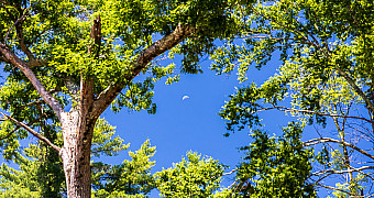 20260708-_S3A1038