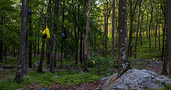 Food Bags on the Bear Cable Food bags hang from a steel cable strung between the trees at a Harriman State Park shelter, out of reach of bears, at dawn, May 25, 2024